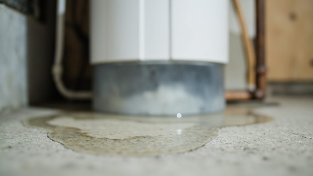 Dealing with a leaking water softener in your shel