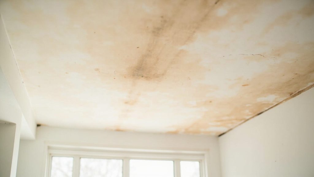 Determining if your east english village drywall c