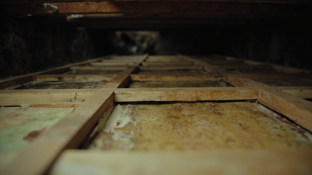 The real cost of ignoring crawl space moisture in