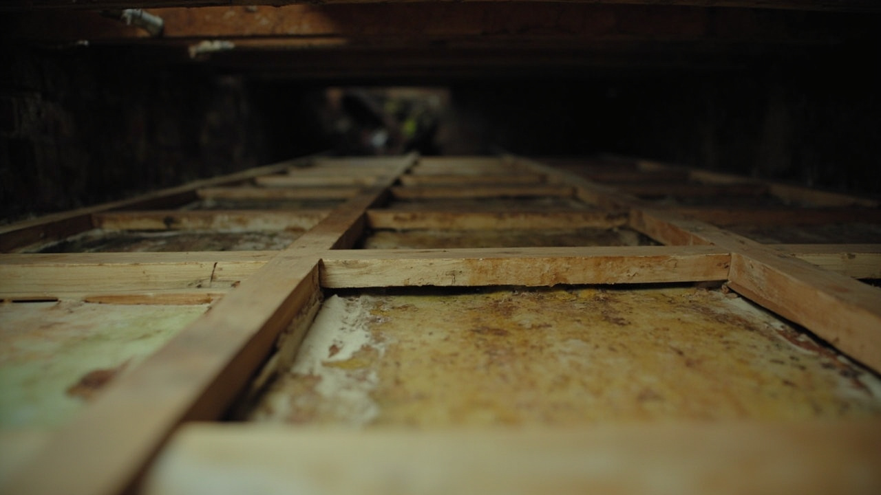 The Real Cost of Ignoring Crawl Space Moisture in Your Wyandotte Home