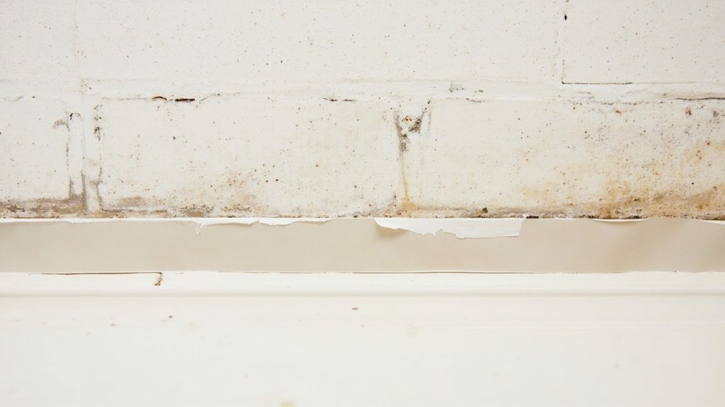 Why the drywall tape in your sterling heights base