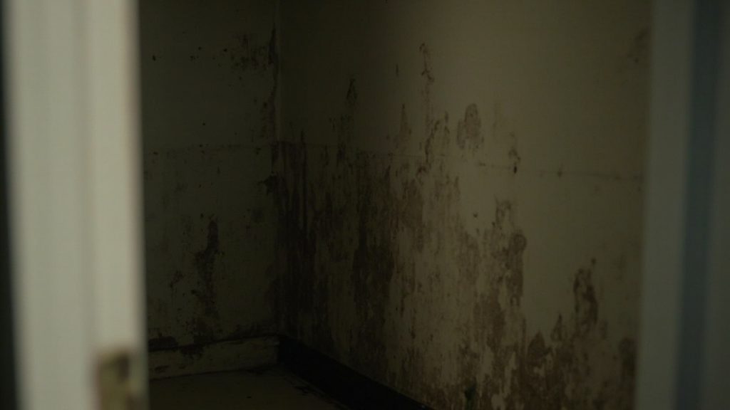 Why your grosse pointe closet walls feel cold and